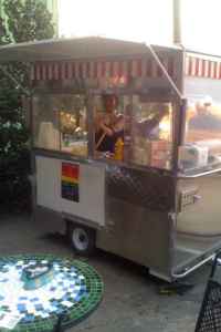 used cart enclosed