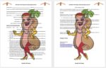 catering contract sample