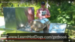 hot dog cart freedom