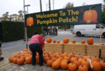 fall festival locations