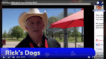 hot dog business success
