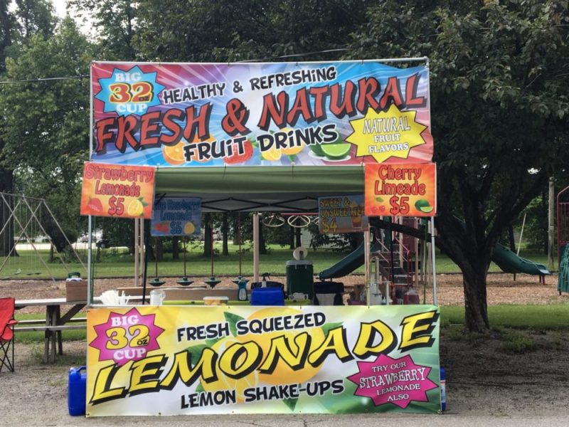 diy lemon smisher smasher thingamabob