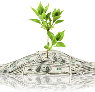 financing options for a hot dog cart