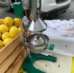 Lemonade Vending And Bees